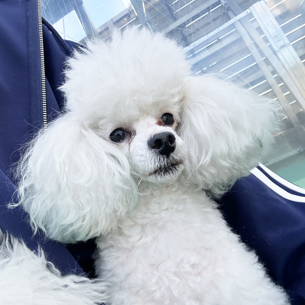 生徒が撮影した写真を送ってくれました②
